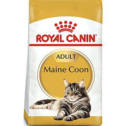 Produktbild von Royal Canin Maine Coon Adult Katzenfutter trocken - 2 kg