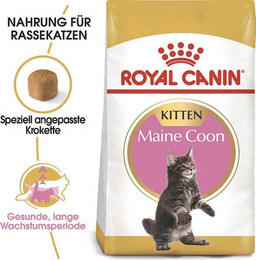 Produktbild von Royal Canin Maine Coon Kitten - 10 kg