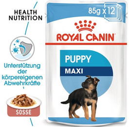 Produktbild von Royal Canin Maxi Puppy Nassfutter für große Welpen - 10 x 140 g