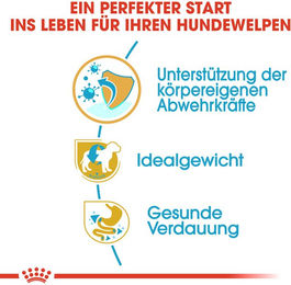 Royal Canin Mini Schnauzer Puppy Hundefutter - 1,5 kg – Bild 1 von 5