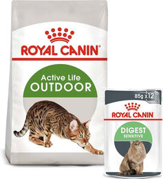 Produktbild von ROYAL CANIN OUTDOOR Trockenfutter und Digest Sensitive Nassfutter für Katzen - 12 x 85 g