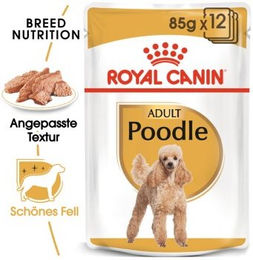 ROYAL CANIN Poodle Adult in Soße - 12 x 85 g – Bild 1 von 3