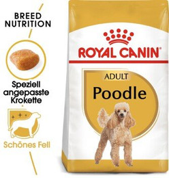 Produktbild von Royal Canin Poodle Adult Trockenfutter - 3 kg