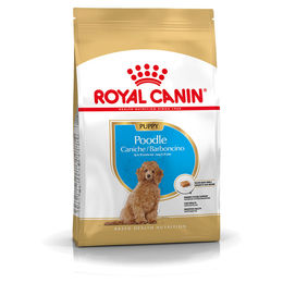 Royal Canin Poodle Puppy Welpenfutter - 3 kg – Bild 1 von 6