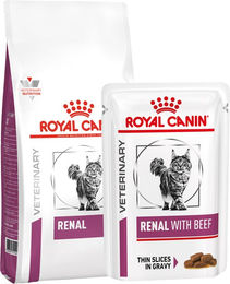Royal Canin Renal Katze Sparpaket - 4 kg + 12 x 85 g Rindfleisch – Bild 1 von 2