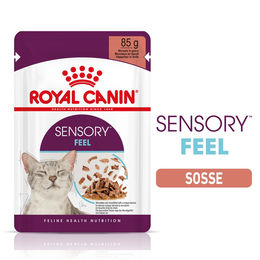 Produktbild von Royal Canin Sensory Feel Nassfutter in Gelee für ausgewachsene Katzen - 12 x 85 g