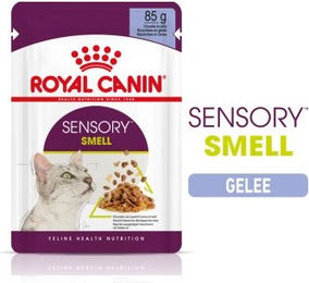ROYAL CANIN SENSORY Smell Gelee für wählerische Katzen - 12 x 85 g – Bild 1 von 3