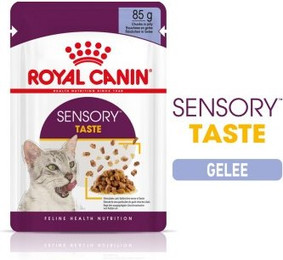 Produktbild von Royal Canin Sensory Taste in Gelee für wählerische Katzen - 12 x 85 g