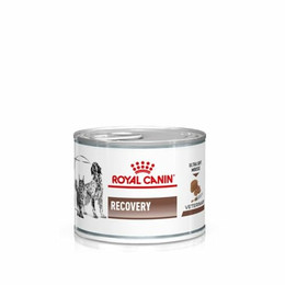 Produktbild von Royal Canin Veterinary Recovery Ultra Soft Mousse - 12 x 195 g