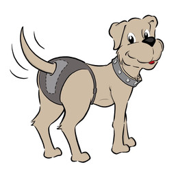 Produktbild von Ruby Care Hundeschutzhose - Size2-45cm