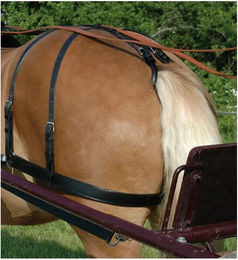 Produktbild von Rücklaufriemen Chetak Euro