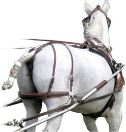 Produktbild von Rücklaufriemen Eric Le Tixerant Marathon