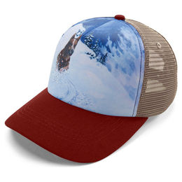 Ruffwear Artist Series Baseballkappe Mount Bailey – Bild 1 von 5