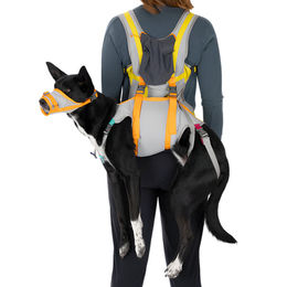Ruffwear BackTrak Evakuierungsset für Hunde – Bild 1 von 8