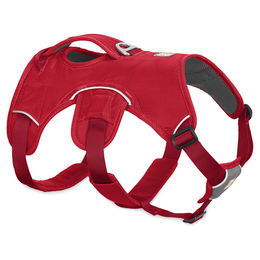 Produktbild von Ruffwear Hundegeschirr Web Master&trade; Harness Red Currant, Größe: L/XL