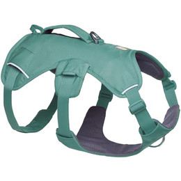 Produktbild von Ruffwear Web Master Hundegeschirr Y-Front River Rock Green XS
