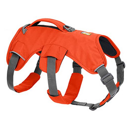 Produktbild von RUFFWEAR Web Master Mehrzweck-Hundegeschirr Blaze Orange XS