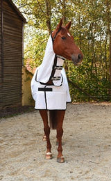 RugBe-Decke Covalliero SuperFly – Bild 1 von 9