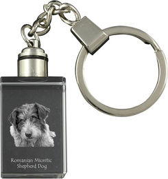 Produktbild von Rumänischer Mioritischer Schäferhund, Ciobănesc Românesc Mioritic – Kristall-Schlüsselanhänger mit Hundefoto, beleuchteter Schlüsselanhänger, einzigartiges Geschenk der Marke Art-Dog transparent