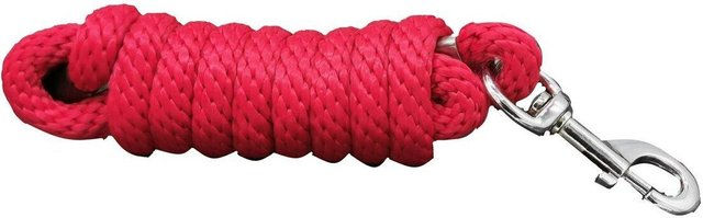 Produktbild von Runde Reitlonge nylon + mousqueton Damen HFI