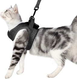 Produktbild von RWEUOQ Katzen-Halsband Katzengeschirr mit Leine verstellbar und ausbruchsicher