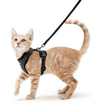 Produktbild von rabbitgoo LuxusKollektion Katzen-Geschirr mit Leine schwarz ausbruchsicher verstellbar XS
