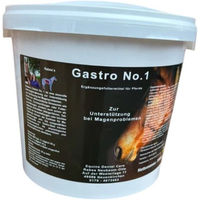Produktbild von Rabea's Gastro No. 1 NatuSol Pferdefutter für Magen-Darm und Verdauung 3000g