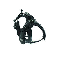 Produktbild von RaidLight I-Dog Canitrail Sportgeschirr für Hunde Schwarz XS