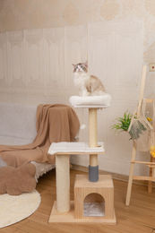 RAIKOU Holz Kratzbaum XL für Katzen in Beige und Natur 110cm – Bild 1 von 11