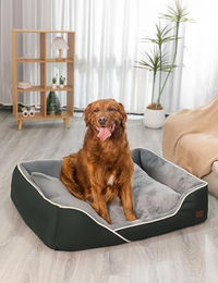 RAIKOU Hundebett aus Baumwolle allergikerfreundlich Dunkelgrün 100x80x9 cm – Bild 1 von 4