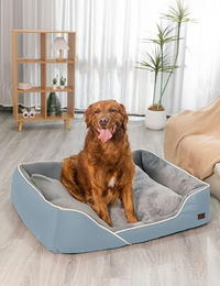 RAIKOU Hundebett Blau 100x80x9 cm Waschbares Plüsch Hundekissen aus Baumwolle Allergikerfreundlich - 100 cm – Bild 1 von 2