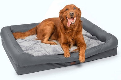 RAIKOU Hundebett Grau mit abnehmbarem Kissen aus Polyester für erwachsene Hunde – Bild 1 von 5
