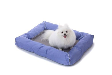 RAIKOU Hundebett und Katzenbett mit abnehmbarem Bezug und wasserabweisendem Boden in Lila 80 x 60cm - 80 cm – Bild 1 von 6