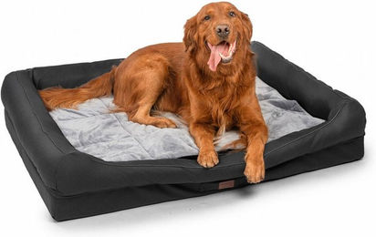 RAIKOU Hundebett XXL Schlafplatz für erwachsene Hunde aus Polyester mit abnehmbarem Kissen und waschbarer Polsterung Schwarz Grau – Bild 1 von 9