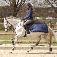 Produktbild von Rain Ausreitdecke Trainingsdecke für Pferde Navy Blau Größe 155