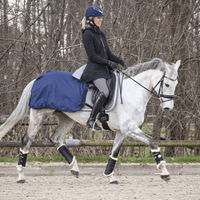 Produktbild von Rain Ausreitdecke Trainingsdecke für Pferde Schwarz 135
