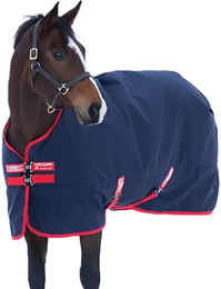Produktbild von Rambo Original Outdoor-Pferdedecke aus Nylon in Blau mit 200g Füllung