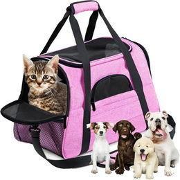 Realb2b Faltbare Tiertransporttasche aus Polyester für Hunde, Katzen und Kleintiere bis 6 kg – Bild 1 von 5