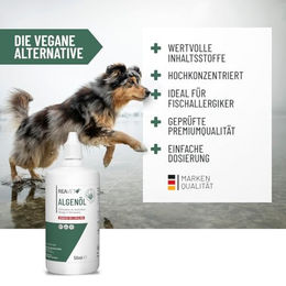 ReaVET Algenöl für Hunde, Katzen und Pferde 50 ml Vegan Hypoallergen Omega-3 Nahrungsergänzung - 50 ml – Bild 1 von 5