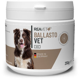 ReaVET BallastoVET Verdauungspulver für Hunde zur Unterstützung der Magen-Darm-Funktion 250g - 250 g – Bild 1 von 13