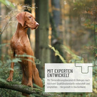 Produktbild von ReaVET Barf Früchtemix 1kg vitaminreiche Obstflocken für Hunde - 1 kg
