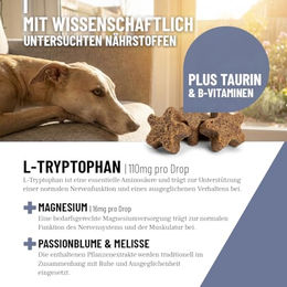 ReaVET Beruhigungs Drops für Hunde mit Relax Komplex und L-Tryptophan 350 g – Bild 1 von 6