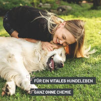 Produktbild von ReaVET Darm Prebiotic Pulver 150g zur Unterstützung der Verdauung für Hunde aller Altersstufen und Größen - 150 g