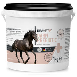 ReaVET Darm Prebiotic Pulver für Pferde zur Unterstützung der Magen-Darm-Gesundheit und Verdauung 1kg - 1 kg – Bild 1 von 13