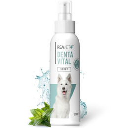 ReaVET Denta Vital Spray Zahnpflege für Hunde zur Reduktion von Zahnbelag und Mundgeruch 120ml - 120 ml – Bild 1 von 6