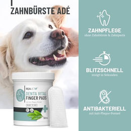 ReaVET Denta Vital Zahnpflege Finger-Pads für Hunde und Katzen 50 Stück – Bild 1 von 5