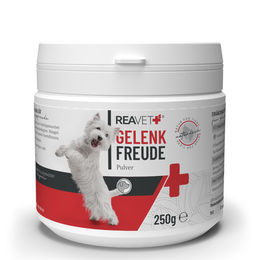 ReaVET Gelenkfreude Gelenkpulver für Hunde mit Grünlippmuschel und Teufelskralle 250g - 250 g – Bild 1 von 13