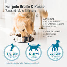 ReaVET Gelenktabletten Forte für Hunde mit Grünlippmuschel, Glucosamin, MSM und Teufelskralle zur Unterstützung der Gelenkfunktion, 180 Stück – Bild 1 von 7