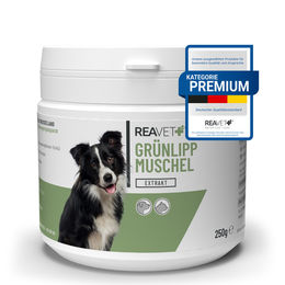 ReaVET Grünlippmuschel Extrakt Pulver 250g für Hunde Katzen und Pferde zur Unterstützung der Gelenke - 250 g – Bild 1 von 13