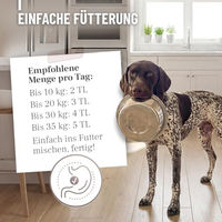 Produktbild von ReaVET Heilmoor Pulver für Hunde zur Unterstützung von Magen-Darm und Immunsystem 2 x 1,3kg - 2 x 1,3 kg